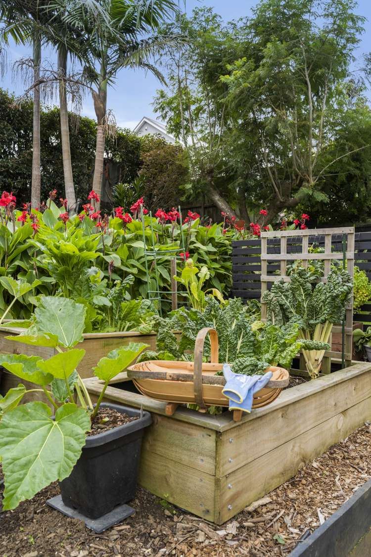 25 Mariri Road Onehunga_16