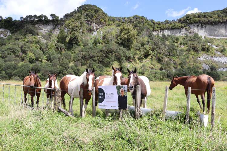 1 Waitaanga Road Ahititi_33