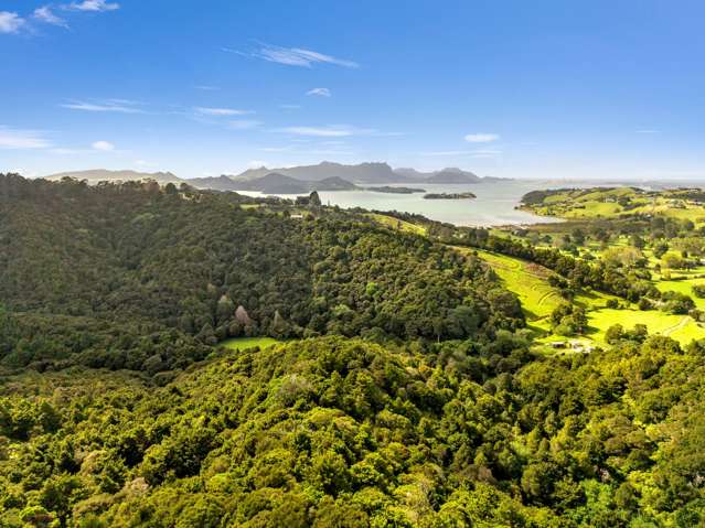 OWHIWA ROAD ONERAHI Onerahi_2