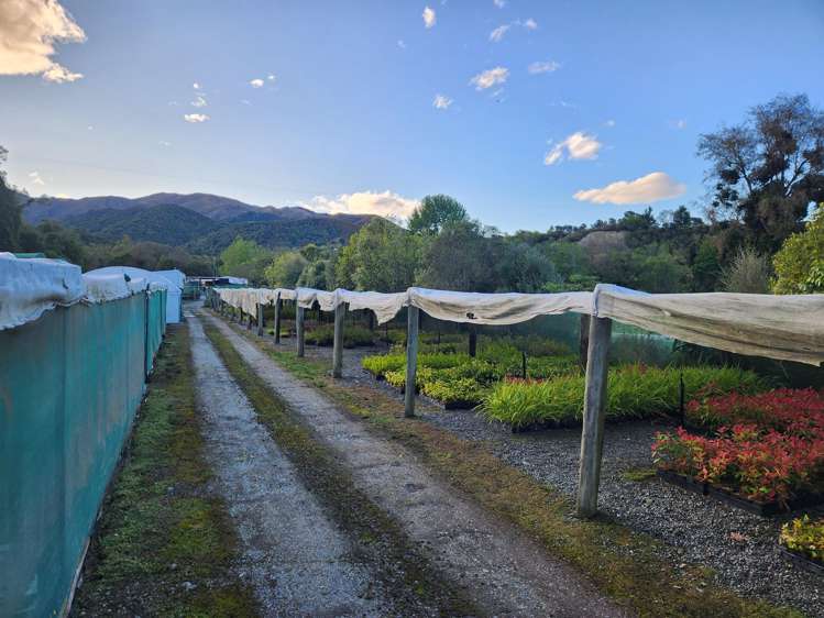 539 Upper Hook Road Waimate_17