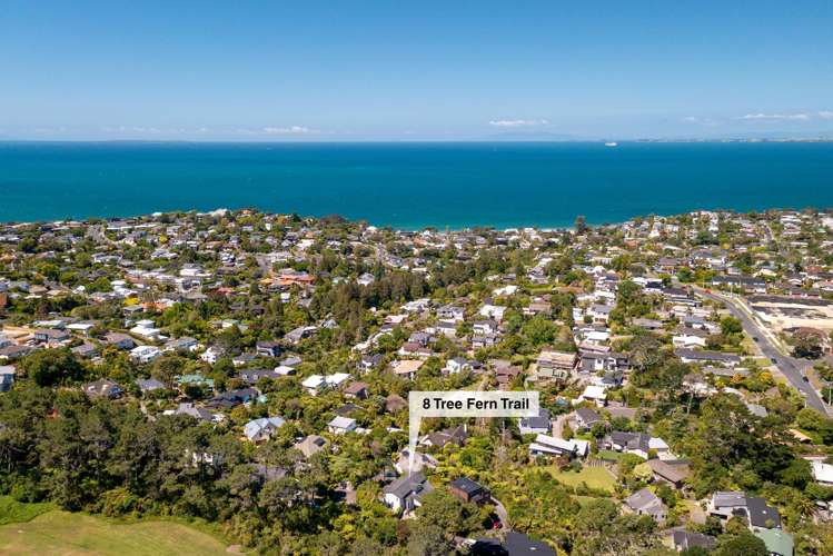 8 Tree Fern Trail Campbells Bay_5