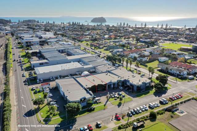 26 Matai Street Mt Maunganui_2