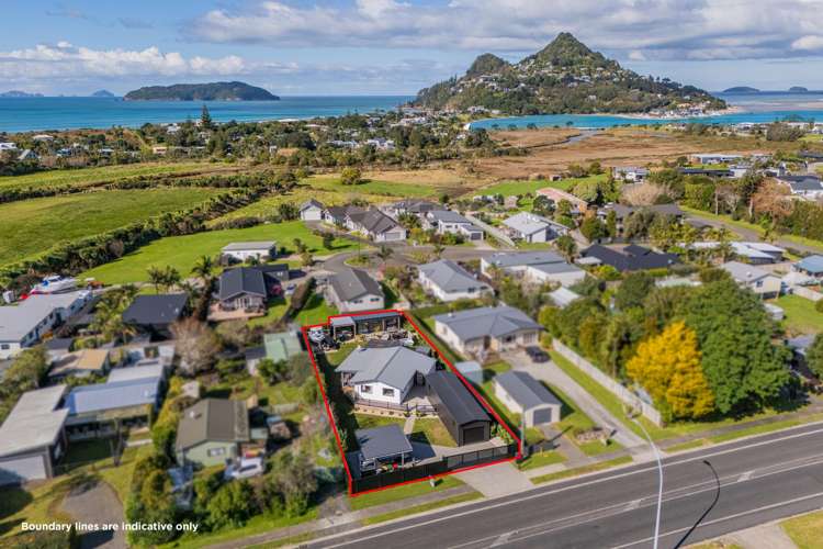 354 Main Road Tairua_10