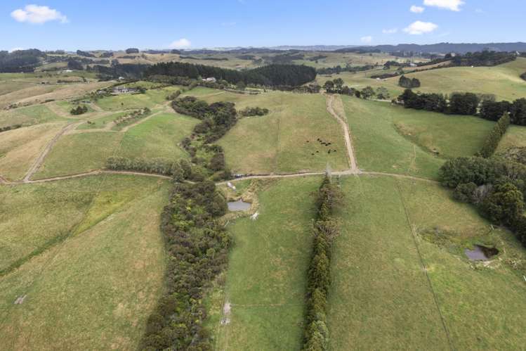 Lot 2 Forestry Road Waitoki_6