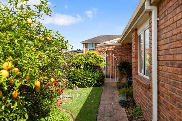 49 Plateau Heights Mount Maunganui_18