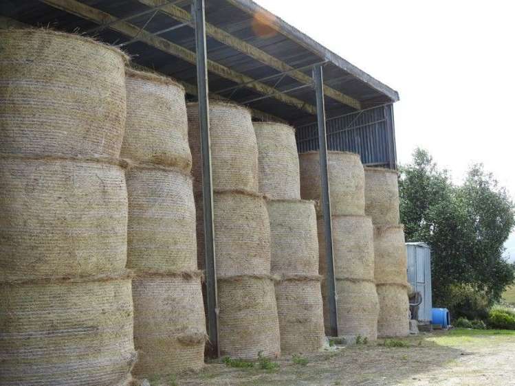 108 Mill View Road Lawrence_4