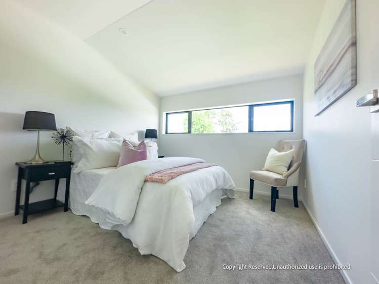 75 Tiverton Road Avondale_12