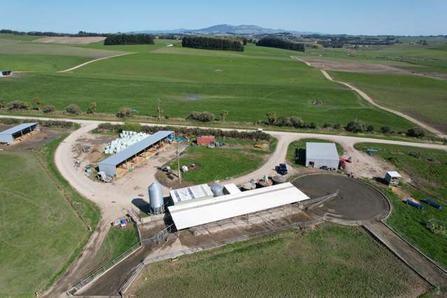 Great Scale and Location Dairy Farm