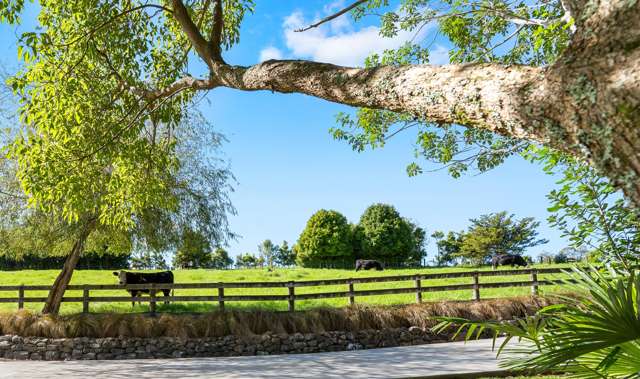 68 Waitangi Road Kiripaka_3