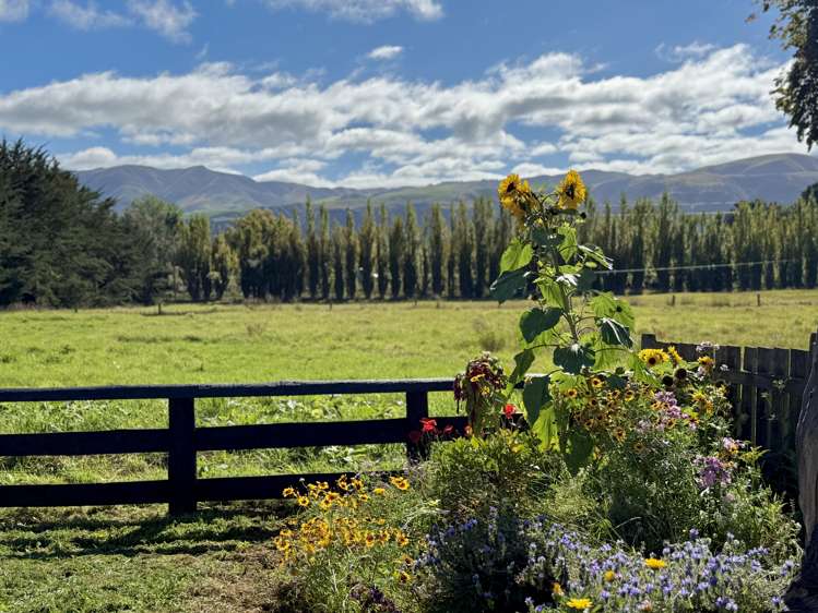 34 Earthquake Road Duntroon_24