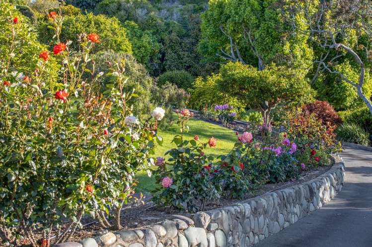 54 Bisley Avenue Moana_13