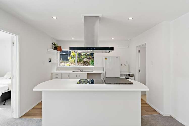 18A Dryden Street Grey Lynn_6
