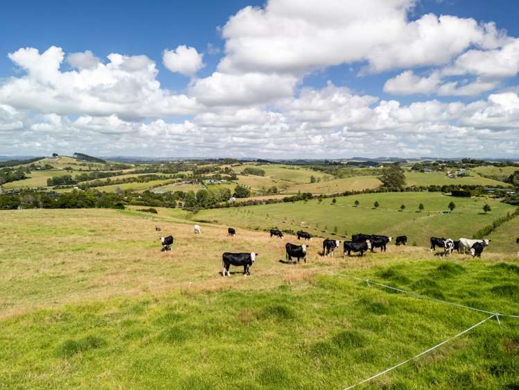 Lot 2 Kotuku Road Kerikeri_17