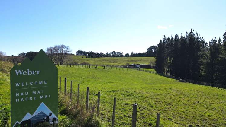3345A Weber Road Dannevirke_3