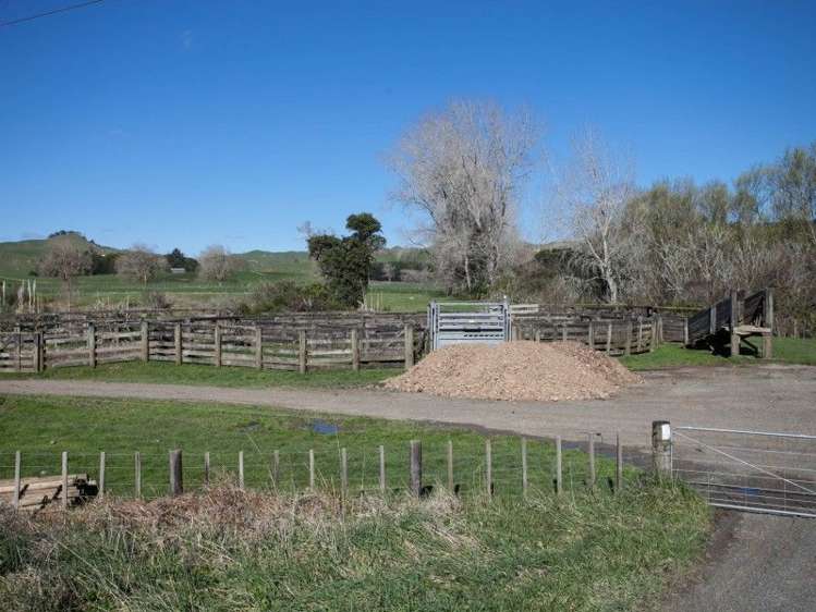 2286 State Highway 3 Mahoenui_17
