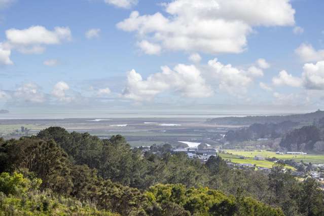 177 Wishart Road Helensville_3