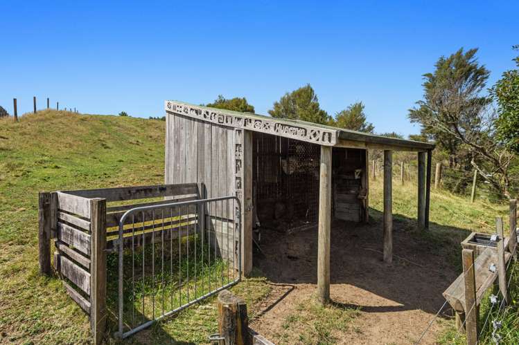 763b White Pine Bush Road Whakatane_31