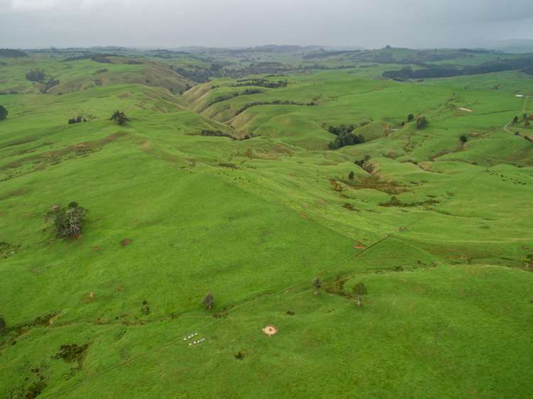 401 Waikaretu Valley Road Glen Murray_14
