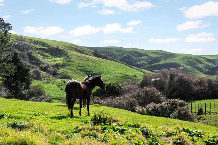 217 Golden Valley Road Waihi_18