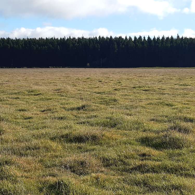 Bluff Hill Road Waianakarua_5