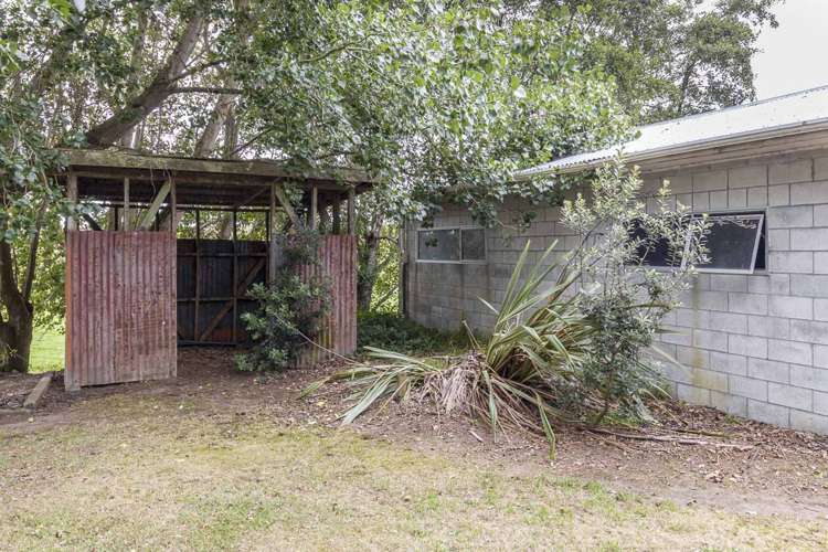 589 Foxton Shannon Road Foxton_22