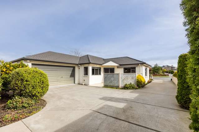 5a Avondale Road Taradale_1