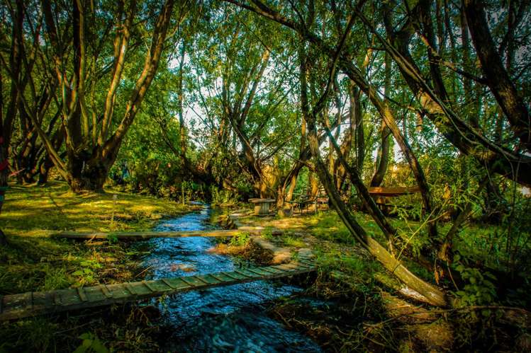 41 Monteith Road Albert Town_6