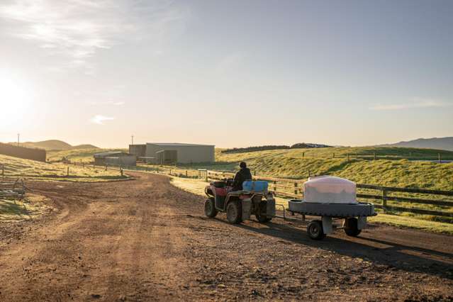 Rural sector enjoys strong first half-year