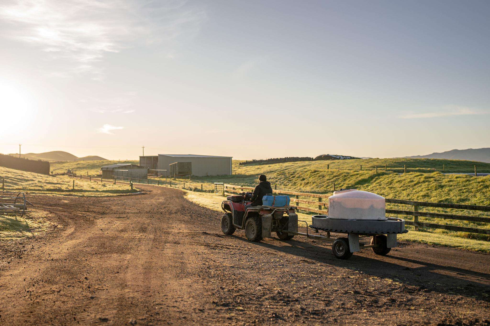 Rural sector enjoys strong first half-year