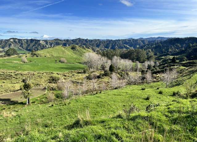 Lot 3 Okoki Road Urenui_1