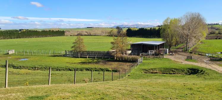 526 Turnbull Road Gore Surrounds_6