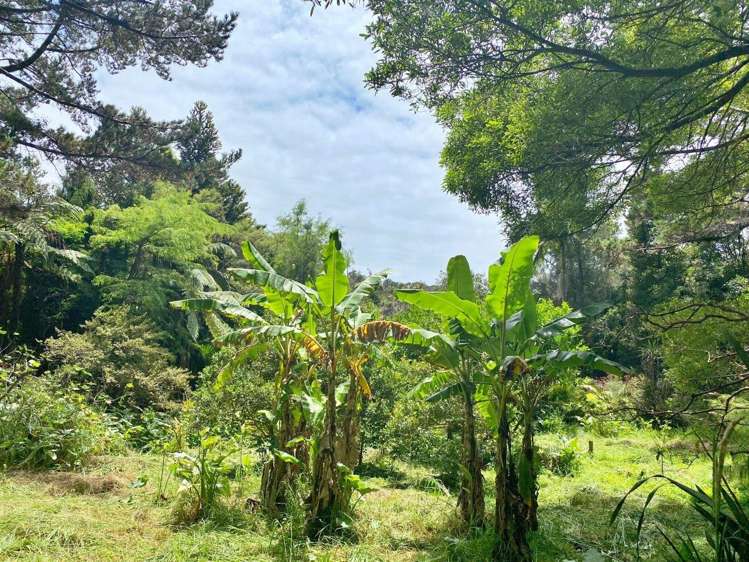 308 Henderson Bay Road Houhora_21