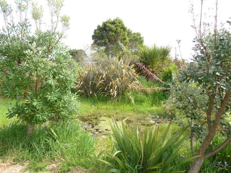 116a Orowaiti Road Westport_13