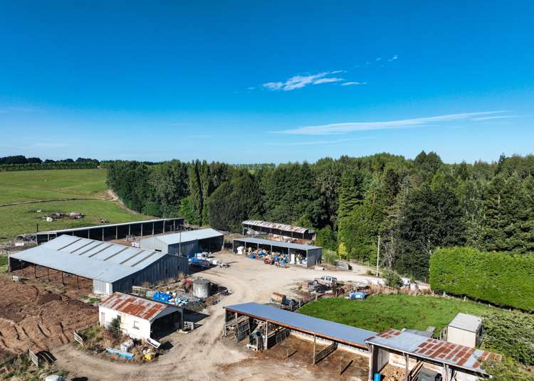 50 Mill Road Gore Surrounds_17