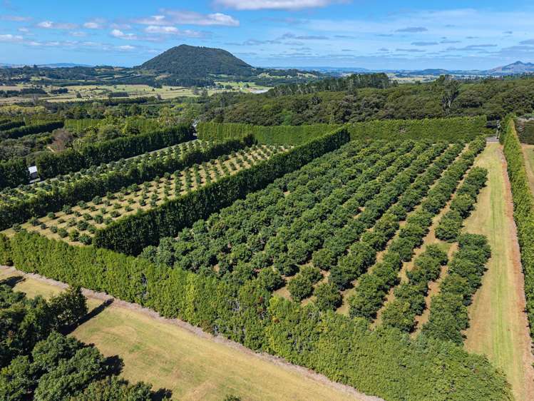 88 Stone Wall Rse Maungatapere_21