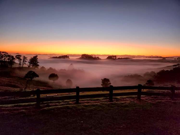 198 Biddle Rd Wellsford_23