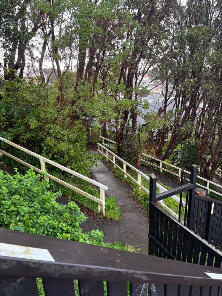 93 Rakau Road_4