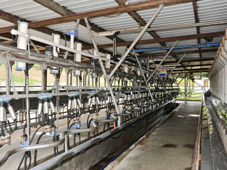 45 Matapan Road Atiamuri_15