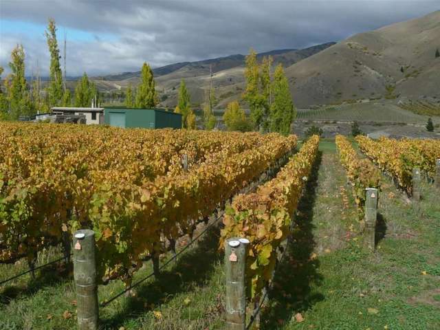 583 Kawarau Gorge Road Cromwell_3