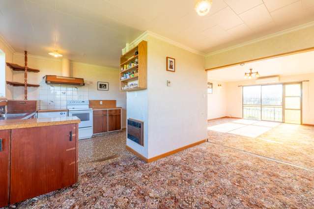 22 North Town Belt Temuka_4