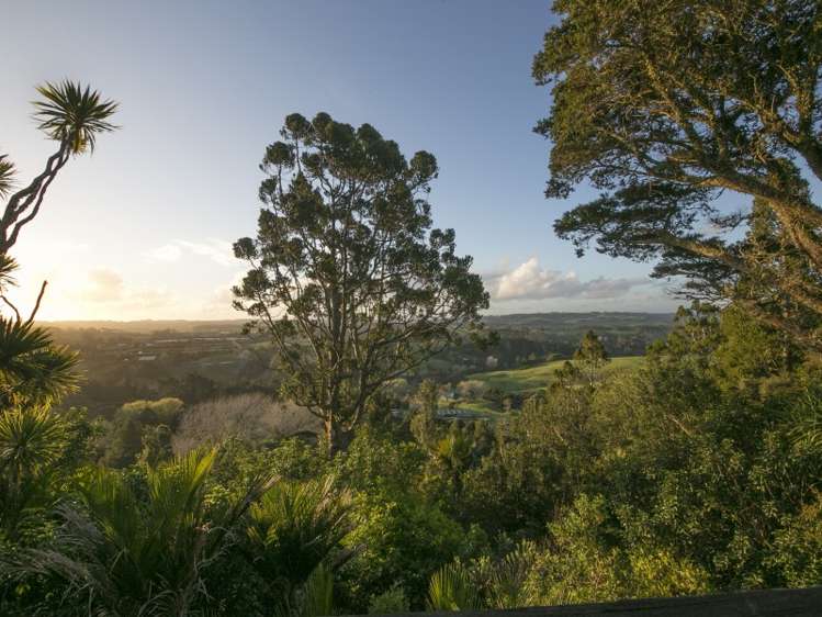 277 School Road Waimauku_5