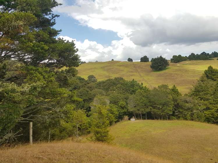 160 Otuhi Road Mangapai and Surrounds_9