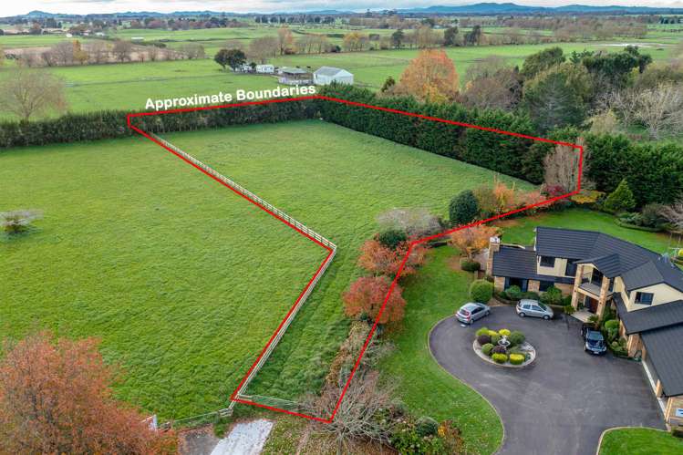 13 Brighton Grove Newstead_5