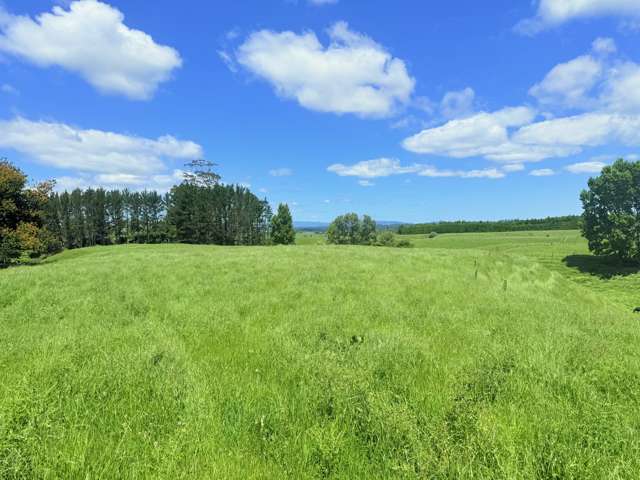 Lot 6/1409 Rangiuru Road Te Puke_2