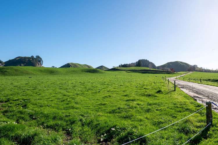 471 Poutakataka Road Ngakuru_26