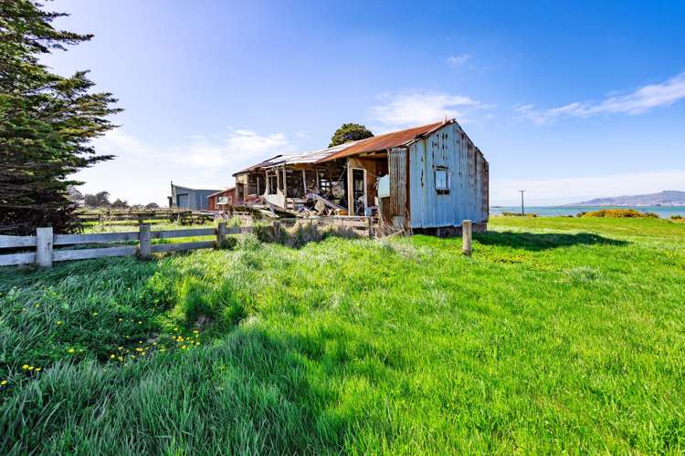 3 Colyers Island Road Greenhills_28