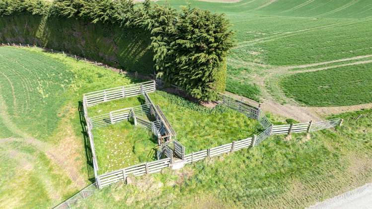 559 Waipahi Highway Mcnab_23