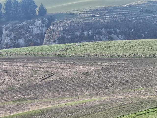 Dunrobin Road Fuchsia Creek_4