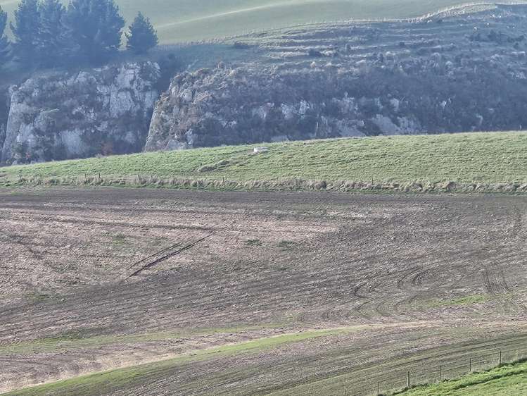 Dunrobin Road Fuchsia Creek_4