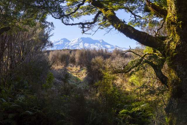 7 Mead Lane Ohakune_1
